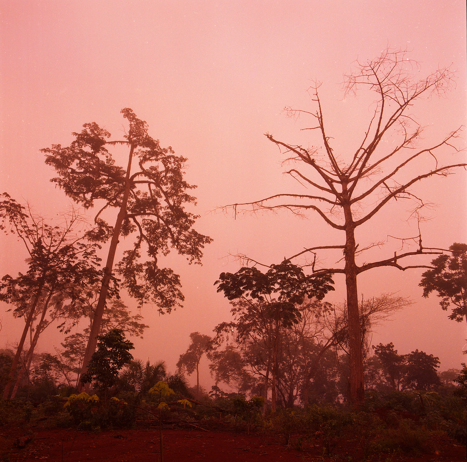 Congo