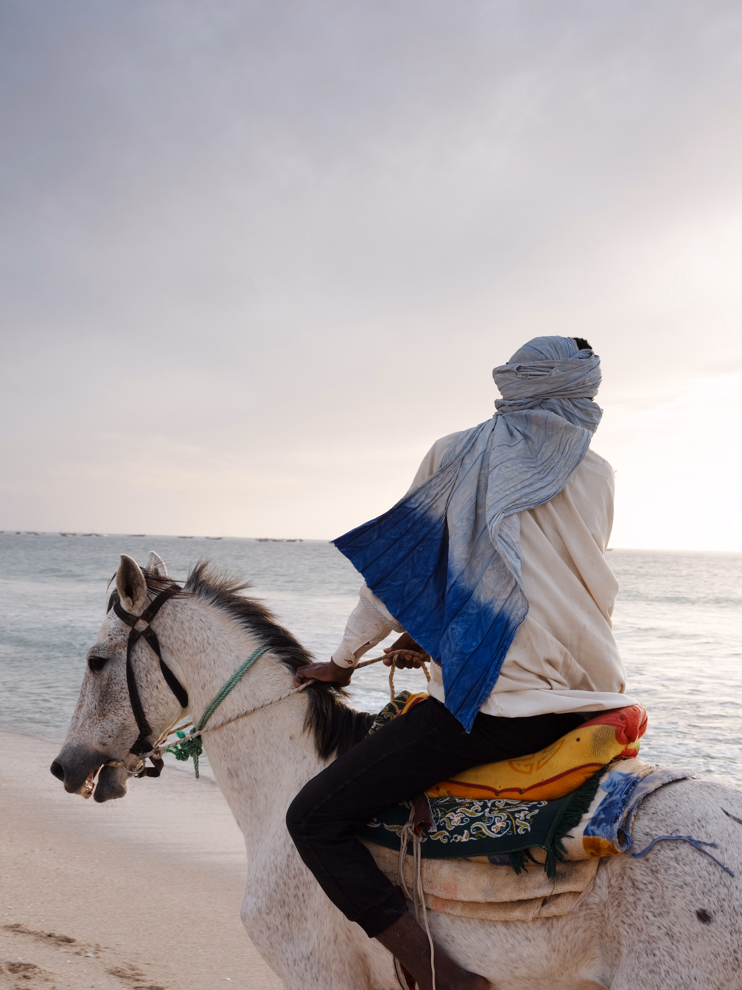 Cavalier sur la plage